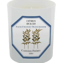 Carrière Frères Floral|Unisexe*Bougie Citrus Dulcis (Fleur d'Oranger)