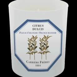 Carrière Frères Floral|Unisexe*Bougie Citrus Dulcis (Fleur d'Oranger)