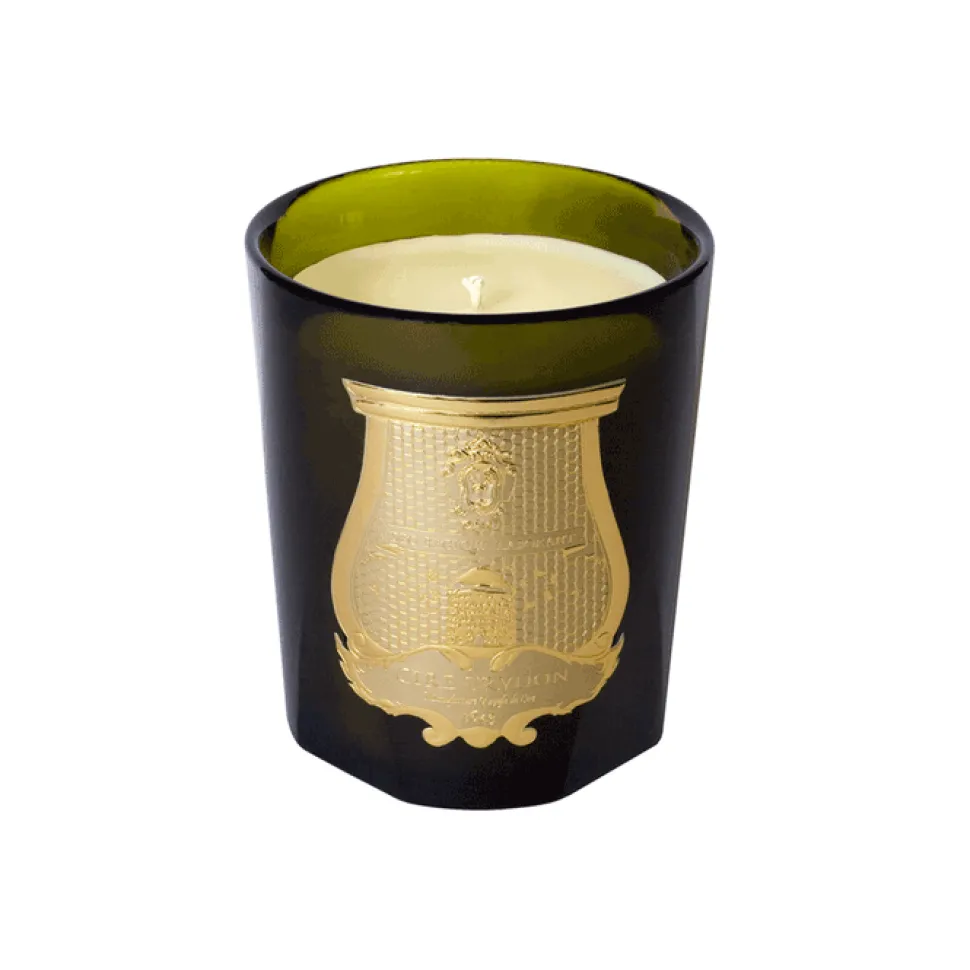 Trudon Automne|Chypré*Bougie Ernesto