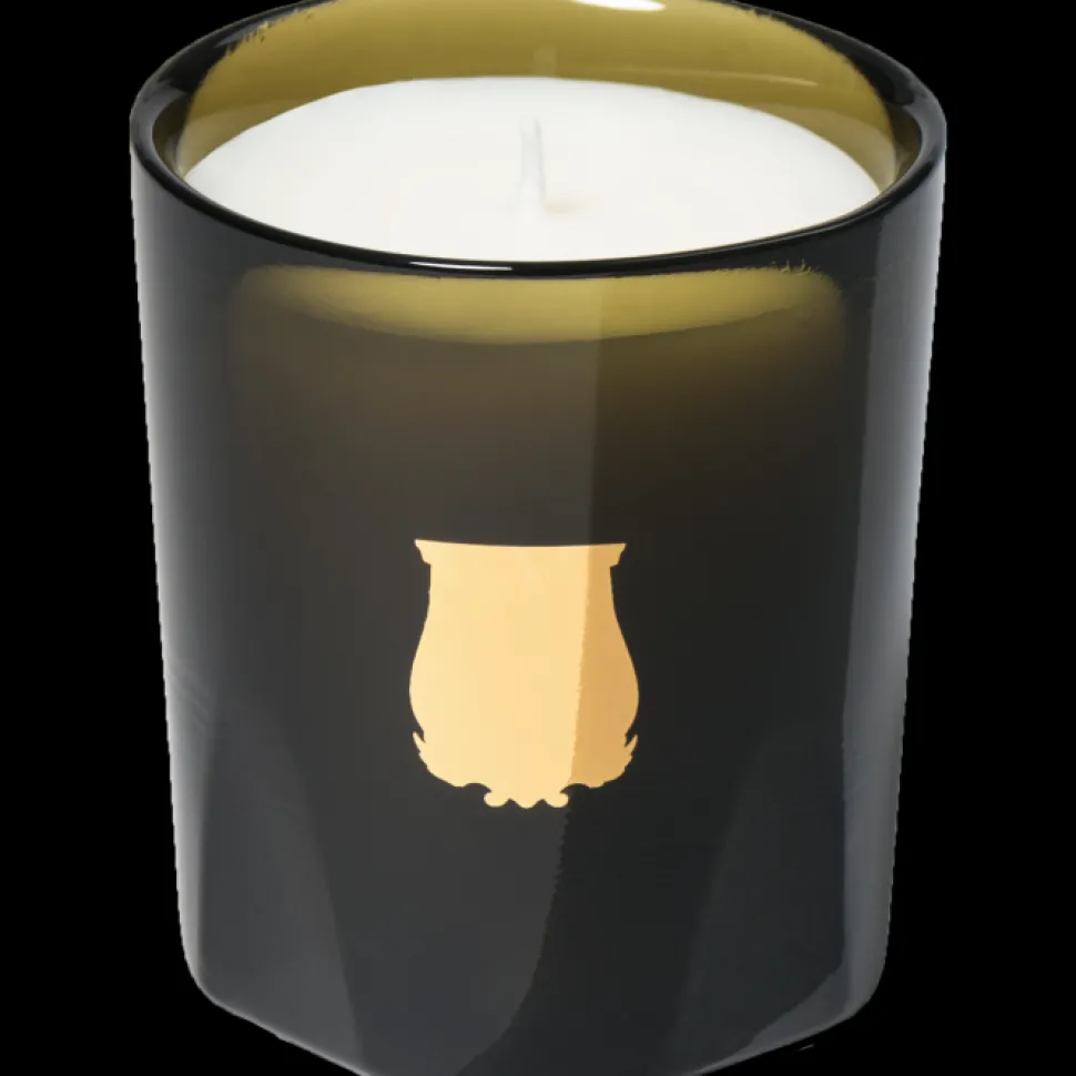 Trudon Automne|Chypré*Bougie Ernesto