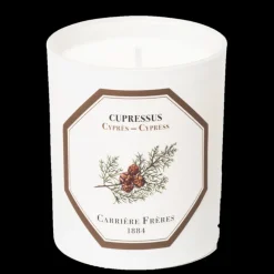 Homme Carrière Frères Boisé|Homme*Bougie Parfumée Cyprès - Cupressus