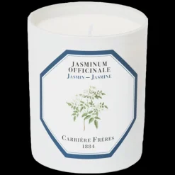 Carrière Frères Floral|Unisexe*Bougie Parfumée Jasmin - Jasminum Officinale