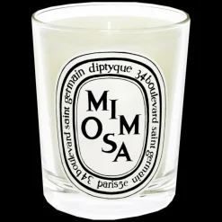 Diptyque Floral|Unisexe*Bougie Parfumée Mimosa