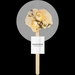 Fleurs d'hiver Floral|Unisexe*Camomille-Thym