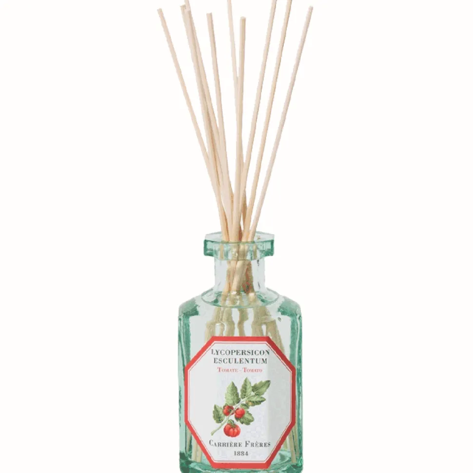 Carrière Frères Unisexe|Boisé*Diffuseur Tomate - Lycopersicon Esculentum